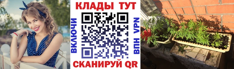 Купить Мирный Кокаин Меф мяу мяу Alpha-PVP Псилоцибиновые грибы ГАШИШ Конопля