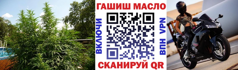 Дистиллят ТГК THC oil  KRAKEN как войти  Мирный 
